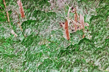 T 160A
